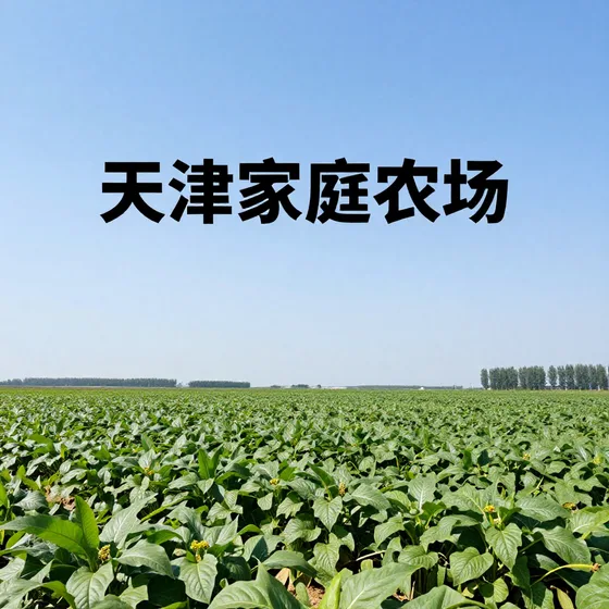 东莞搬运公司